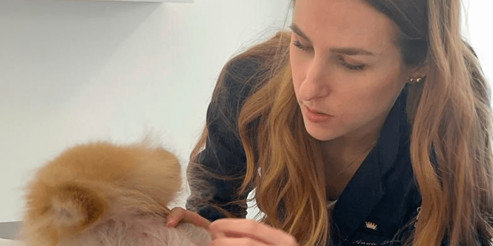 Petderma: Especialistas Em Dermatologia Veterinária Em São Paulo