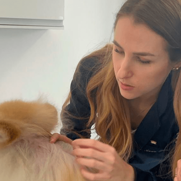 2Petderma: Especialistas Em Dermatologia Veterinária Em São Paulo Petderma: Especialistas Em Dermatologia Veterinária Em São Paulo