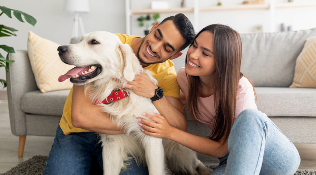 10 perguntas e respostas sobre cães alérgicos