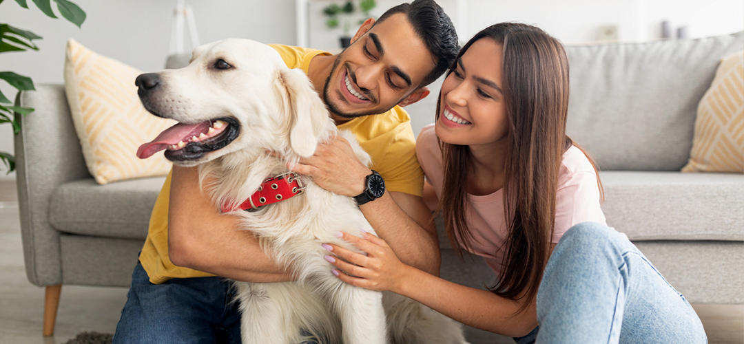Petderma: Especialistas Em Dermatologia Veterinária Em São Paulo - Encontre O Melhor Cuidado Para Seu Pet Com A Petderma, Sua Clínica Especializada Em Dermatologia Veterinária Em Sp. Tratamentos Inovadores Para Cães E Gatos.