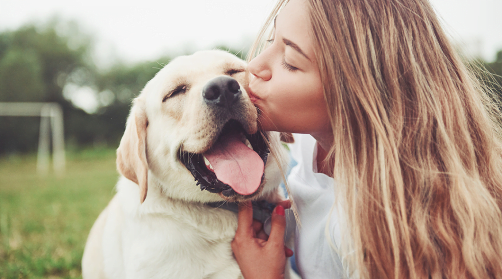 Quais exames devem ser feitos para que meu pet viva mais, e com mais saúde?