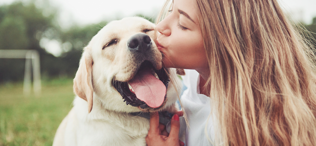 Quais Exames Devem Ser Feitos Para Que Meu Pet Viva Mais, E Com Mais Saúde? 1 Petderma: Especialistas Em Dermatologia Veterinária Em São Paulo - Encontre O Melhor Cuidado Para Seu Pet Com A Petderma, Sua Clínica Especializada Em Dermatologia Veterinária Em Sp. Tratamentos Inovadores Para Cães E Gatos.