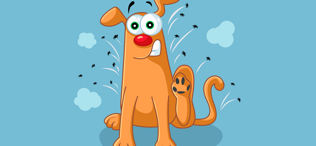 Petderma: Especialistas Em Dermatologia Veterinária Em São Paulo - Encontre O Melhor Cuidado Para Seu Pet Com A Petderma, Sua Clínica Especializada Em Dermatologia Veterinária Em Sp. Tratamentos Inovadores Para Cães E Gatos.