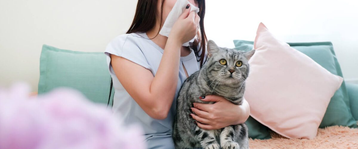 Estratégias Para Tratar A Alergia A Gato
