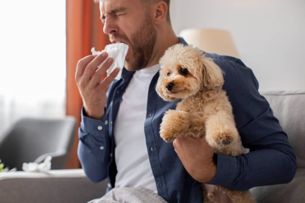 Tratamento para Alergia a Cachorro: O que Você Precisa Saber