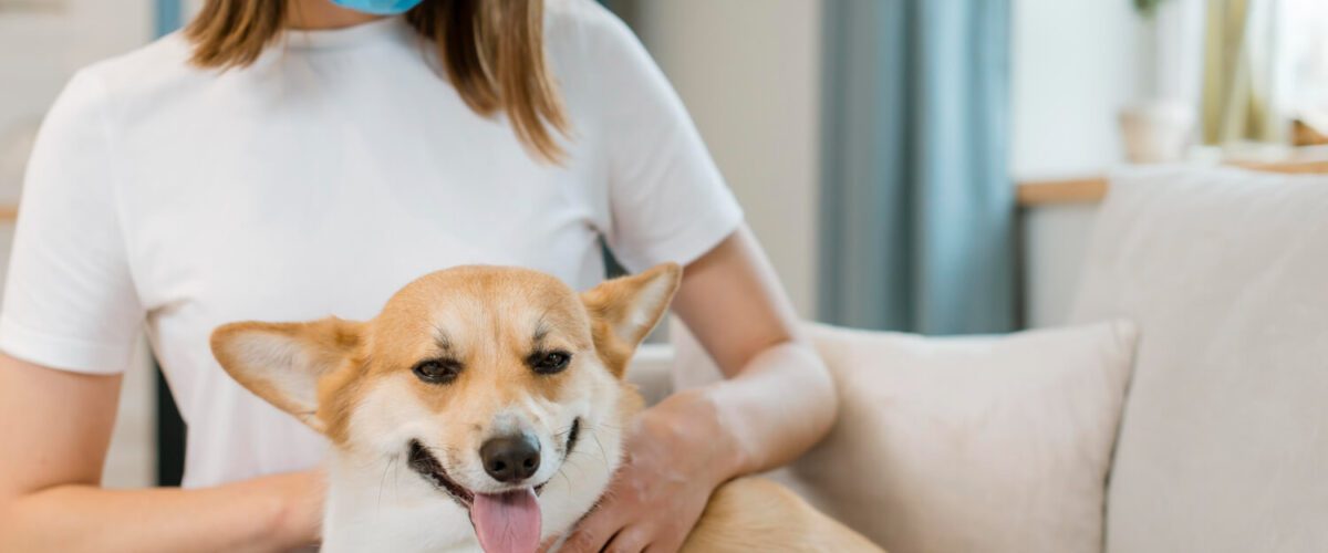 Tratamento Para Alergia A Cachorro: O Que Você Precisa Saber