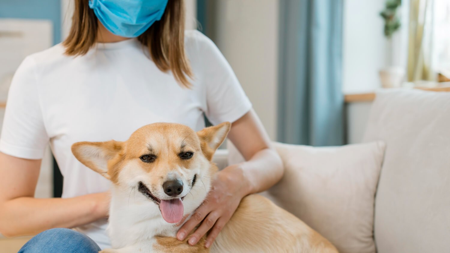 Doenças De Pele Comuns Em Cachorros: Sinais E Tratamentos 1 Tratamento Para Alergia A Cachorro: O Que Você Precisa Saber