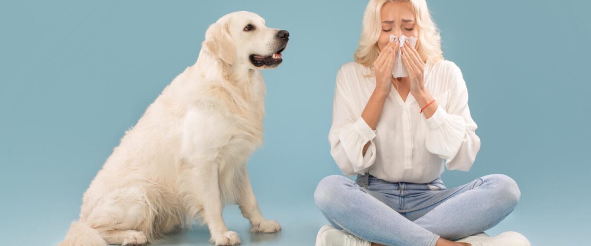 Tratamento Para Alergia A Cachorro: O Que Você Precisa Saber