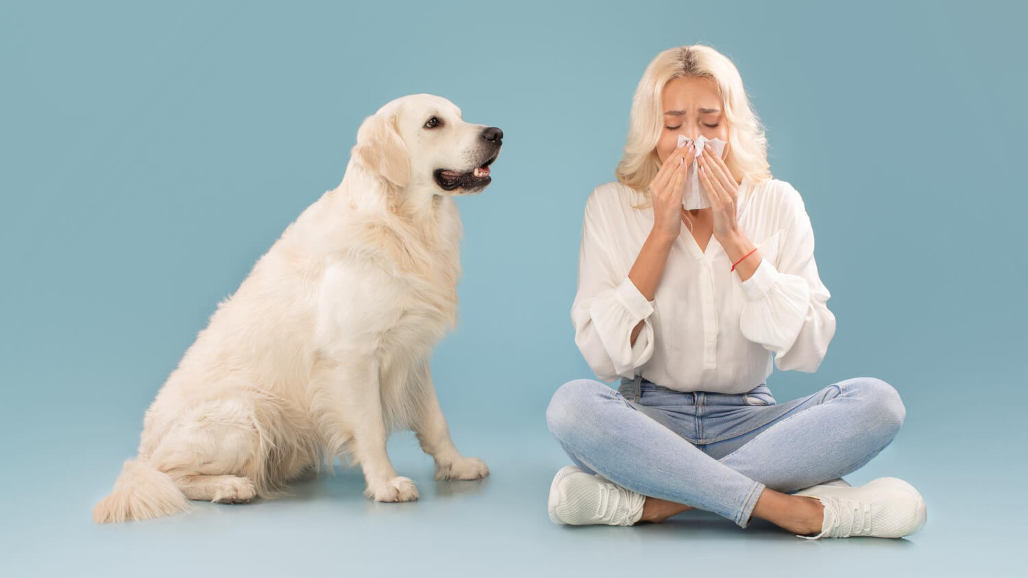 Tratamento Para Alergia A Cachorro: O Que Você Precisa Saber 1 Tratamento Para Alergia A Cachorro: O Que Você Precisa Saber