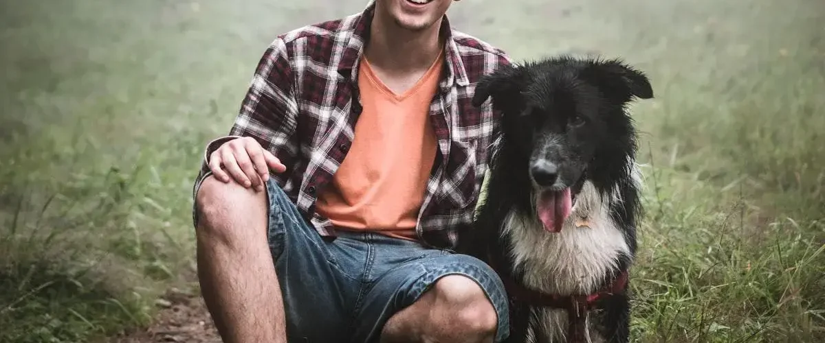 Tratamento De Dermatites Em Cães E Gatos