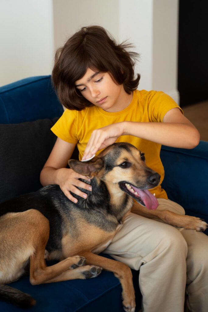 Soluções para Coceira em Cachorros: O que Funciona?