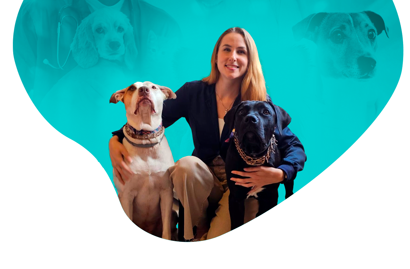 Alergologista Veterinário: Solução Para Alergias Em Pets 1 Petderma: Especialistas Em Dermatologia Veterinária Em São Paulo - Encontre O Melhor Cuidado Para Seu Pet Com A Petderma, Sua Clínica Especializada Em Dermatologia Veterinária Em Sp. Tratamentos Inovadores Para Cães E Gatos.