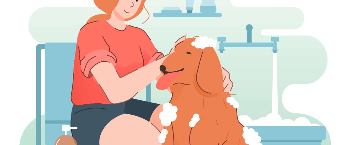 Hábitos Higiênicos Do Seu Pet