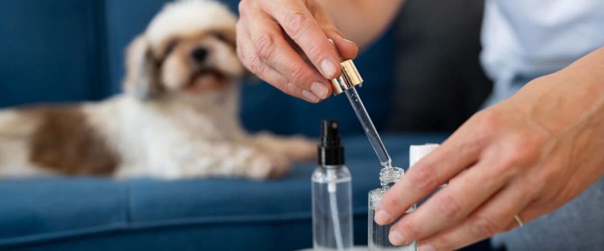 Dermatite Canina Dermatite Atópica