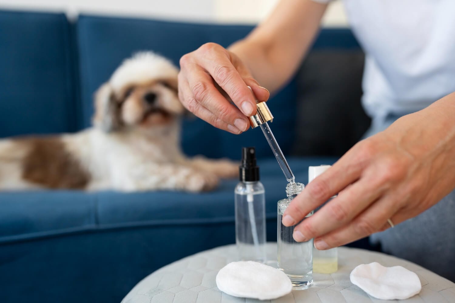 Como Aliviar A Dermatite Canina Com Remédios Caseiros Simples E Seguros 1 Dermatite Canina Dermatite Atópica