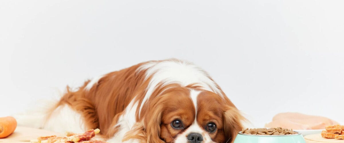 Alergias Alimentares Alimentação