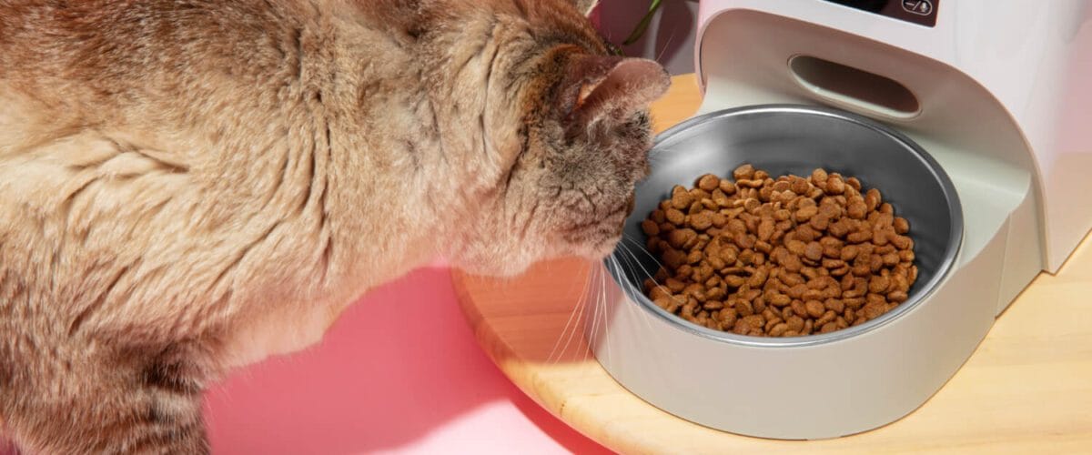 Alergias Alimentares E Problemas De Pele