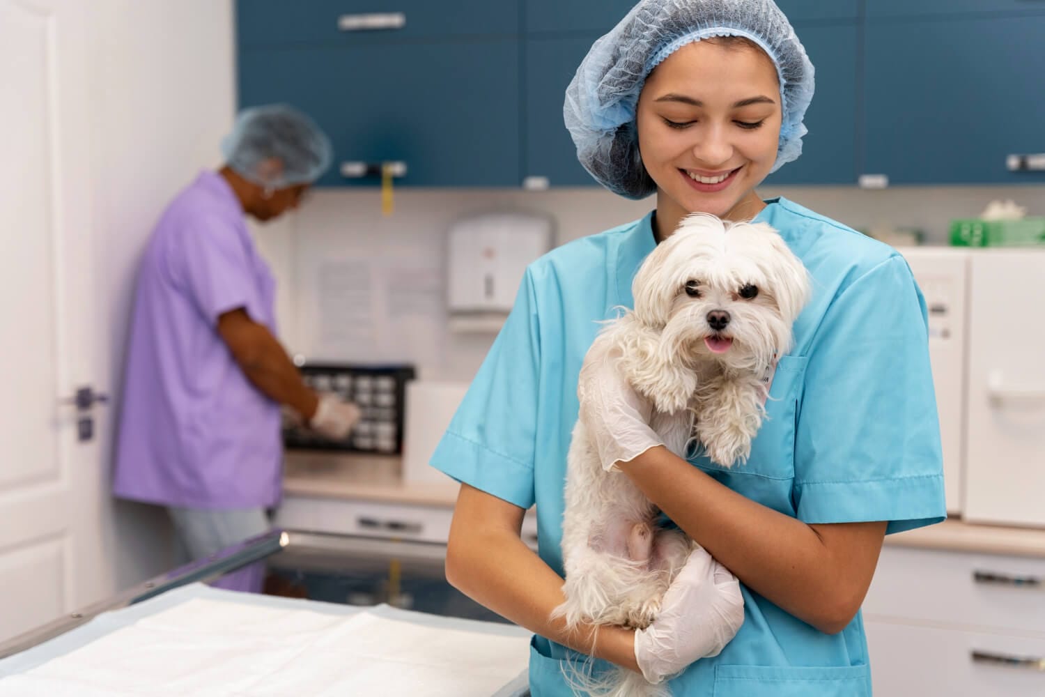 Como Saber Se Seu Pet Precisa De Um Dermatologista Veterinário 1 Exames Dermatológicos Dermatologista Veterinário Dermatite Alérgica