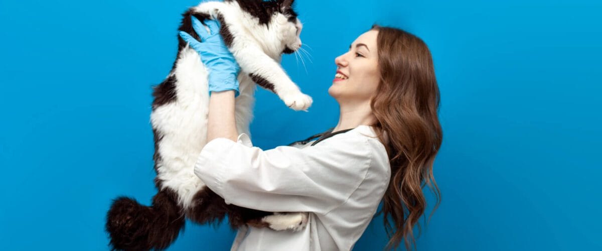 Dermatologista Veterinário Dermatologia