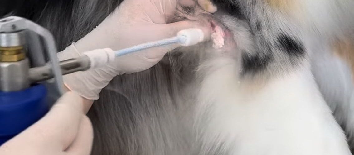 Exames Dermatológicos