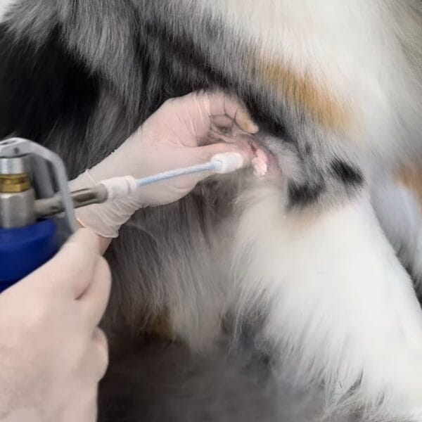 Crioterapia Exames Dermatológicos