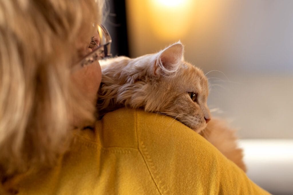 Ansiedade E Estresse: Impactos No Seu Cão Ou Gato 2 Estresse