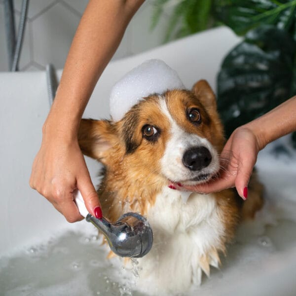 Petderma-Higiene-Animal.1 Higiene Animal