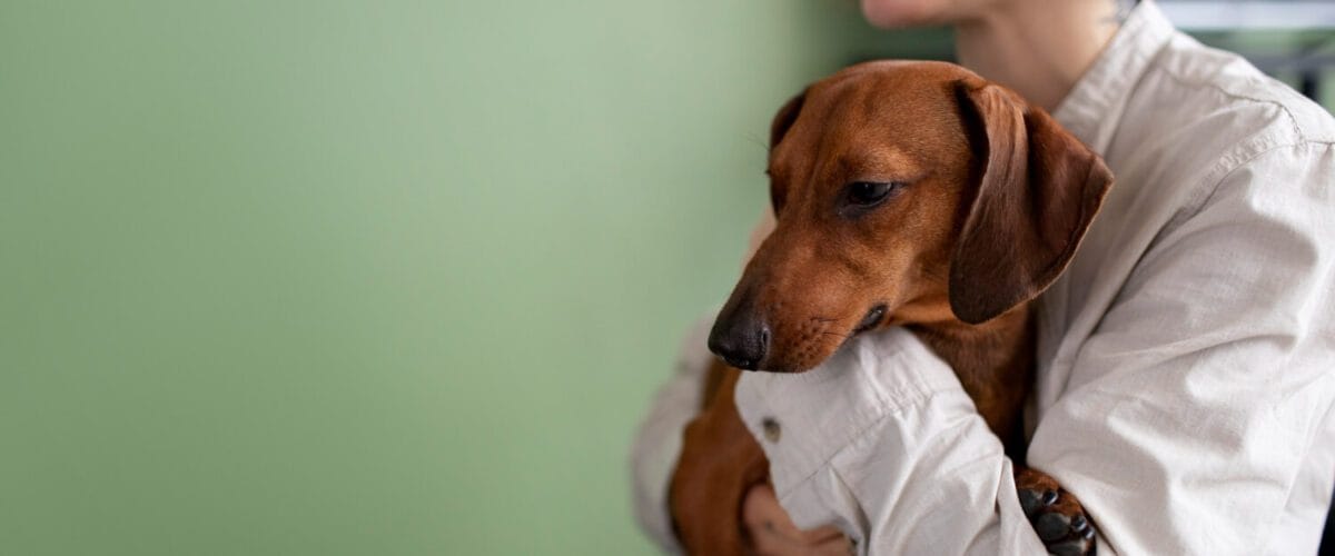 Pele Saudável Dermatite Alérgica