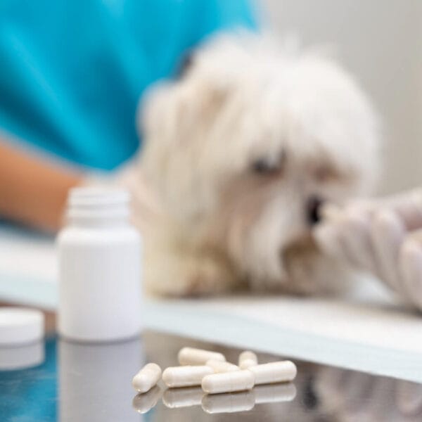 Petderma-Tratamento-Topico-Em-Pets.1 Tratamentos Tópicos