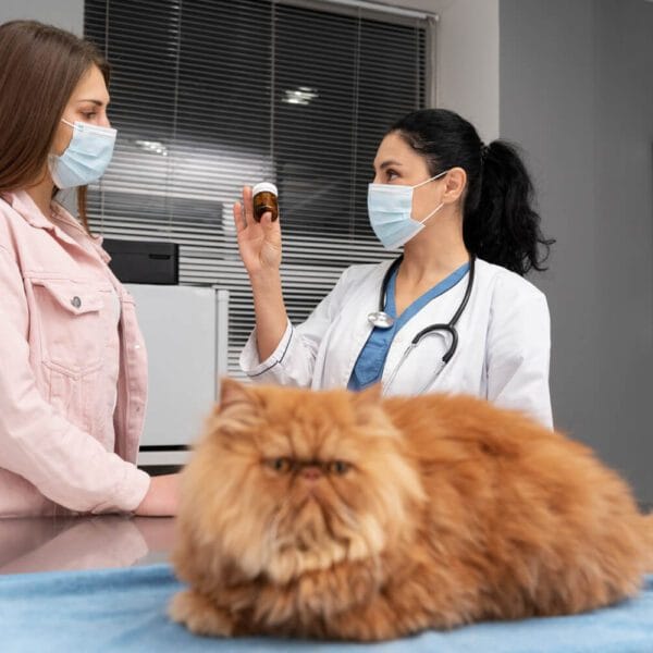 Petderma-Tratamento-Topico-Em-Pets.3 Tratamentos Tópicos