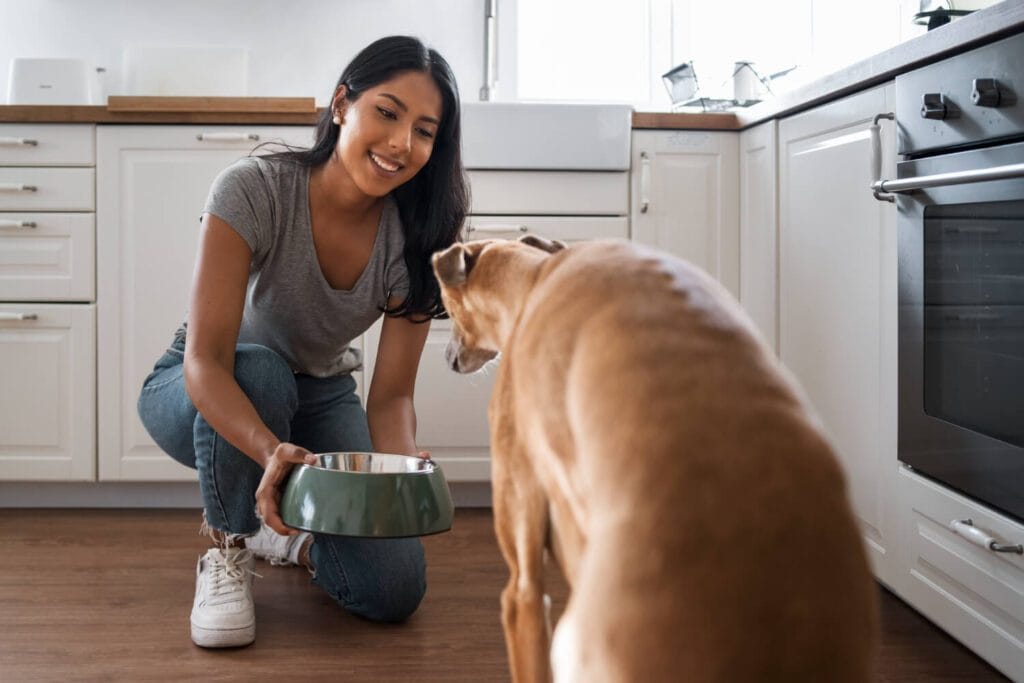 A Verdade Sobre Comida Natural Para Cães Alérgicos: Solução Ou Modinha? 4 Comida Natural Para Cães Alérgicos