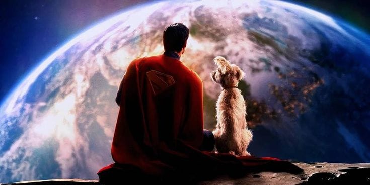 O Efeito Krypto: Como Um Cachorro De Filme Aumentou As Adoções Em 513% — E O Alerta Dos Especialistas Para A Saúde Dos Pets 1 Adoções