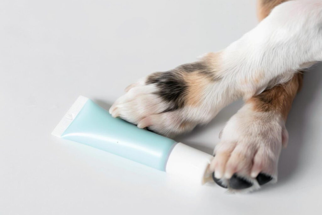 Pomadas E Cremes Em Pets: Quando E Como Usar Com Segurança 2 Pomadas E Cremes Em Pets