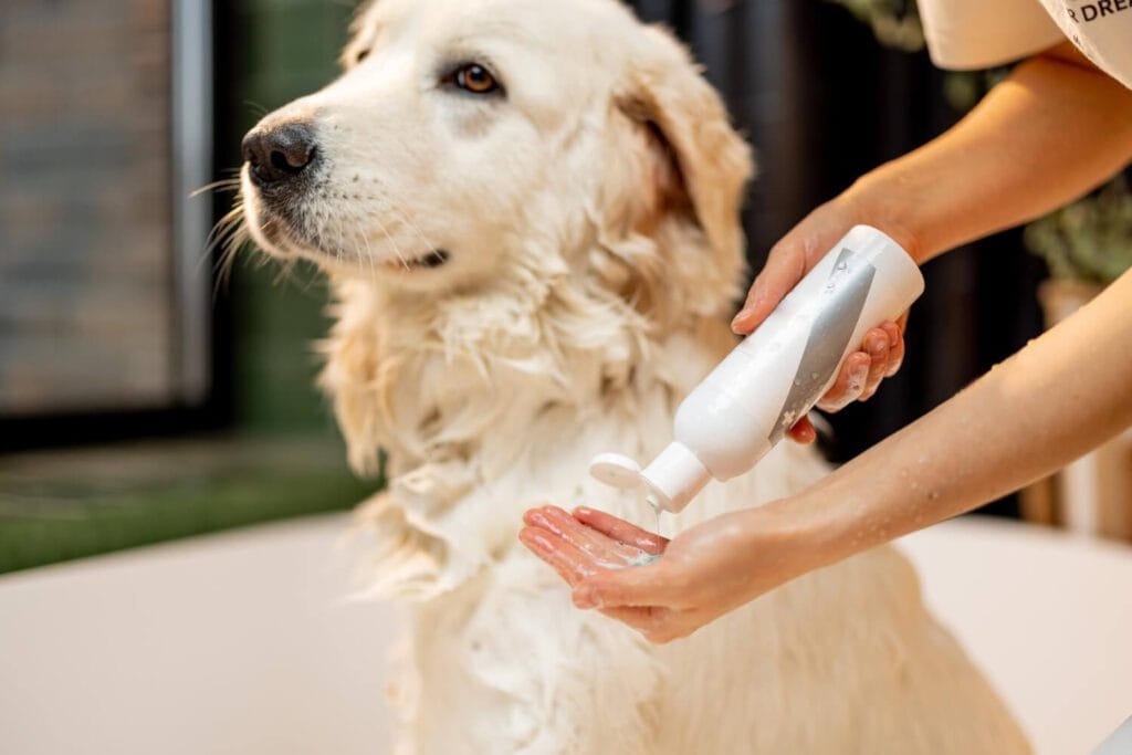 Pomadas E Cremes Em Pets: Quando E Como Usar Com Segurança 4 Pomadas E Cremes Em Pets
