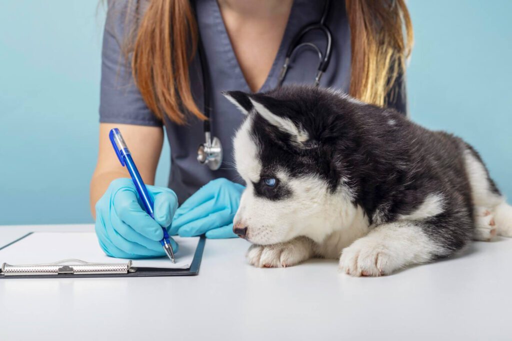 Teste De Alergia Em Cães: Guia Completo Para Diagnóstico E Tratamento Da Dermatite Atópica 3 Teste De Alergia Em Cães