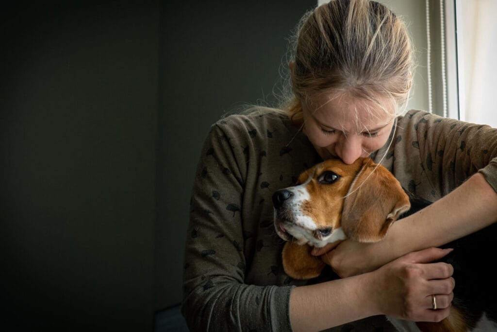 Ansiedade E Estresse Em Pets: Estratégias Dermatológicas Para Melhorar A Qualidade De Vida 4 Ansiedade E Estresse Em Pets