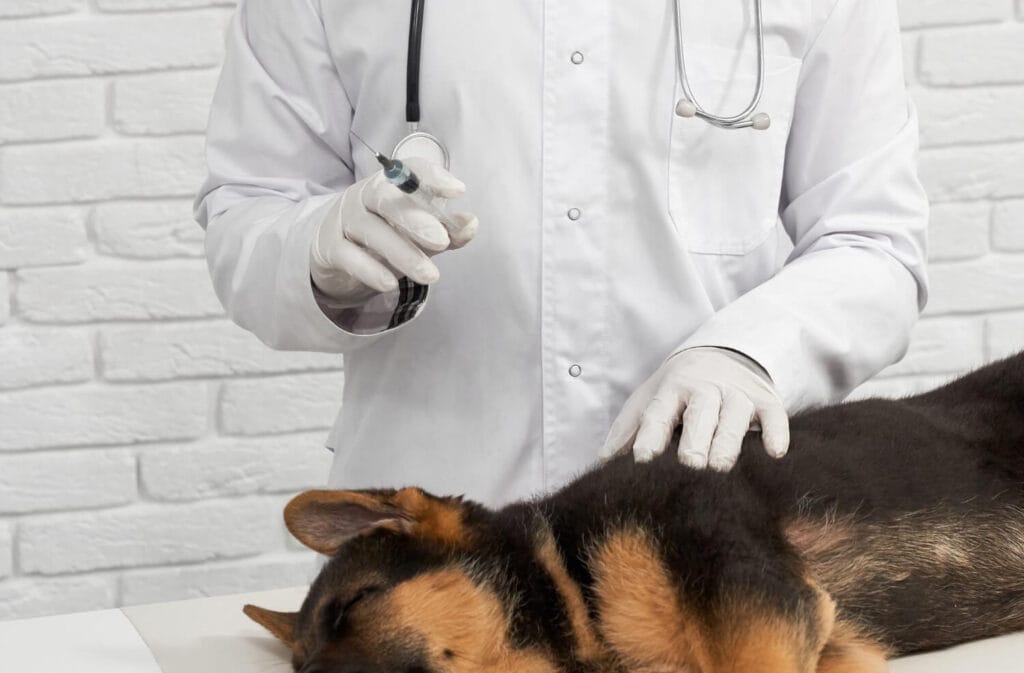 A Função Da Citologia No Diagnóstico Dermatológico Animal 2 Petderma-Citologia.