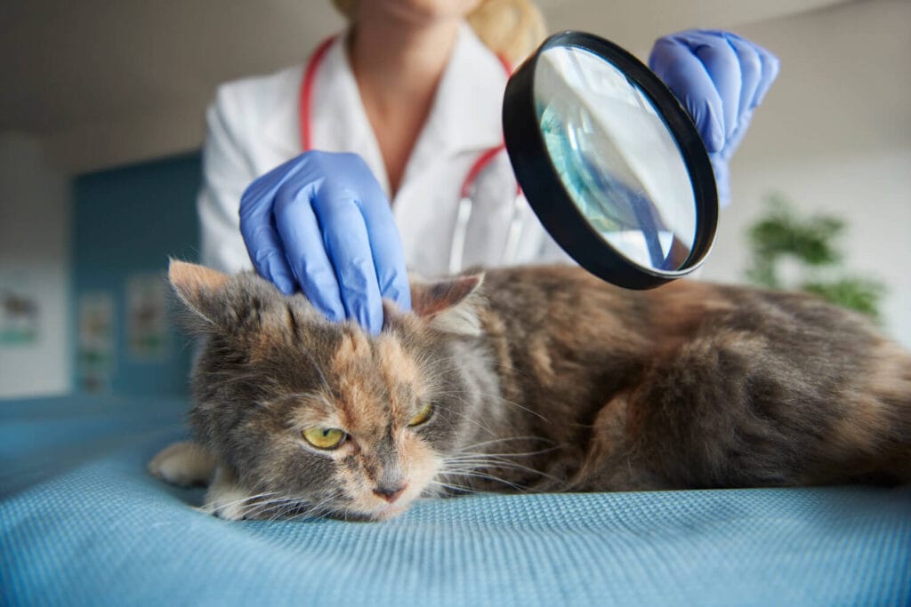 Exames Complementares Na Dermatologia Veterinária: Citologia, Biópsia E Cultura 2 Exames