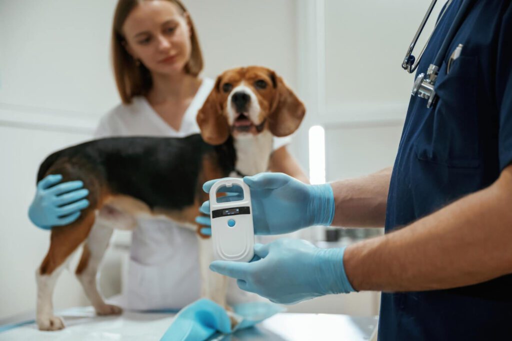Exames Complementares Na Dermatologia Veterinária: Citologia, Biópsia E Cultura 3 Exames