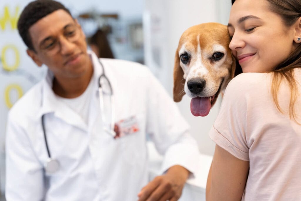 Cuidados Com A Pele De Cães Idosos: Prevenindo Ressecamento E Alergias 4 Imunoterapia Para Cães