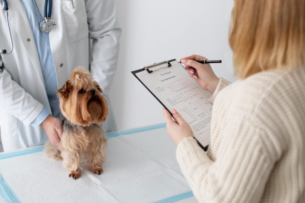 Imunoterapia Para Cães Com Alergias: Guia Completo Sobre Funcionamento, Benefícios E Resultados Reais 4 Imunoterapia Para Cães