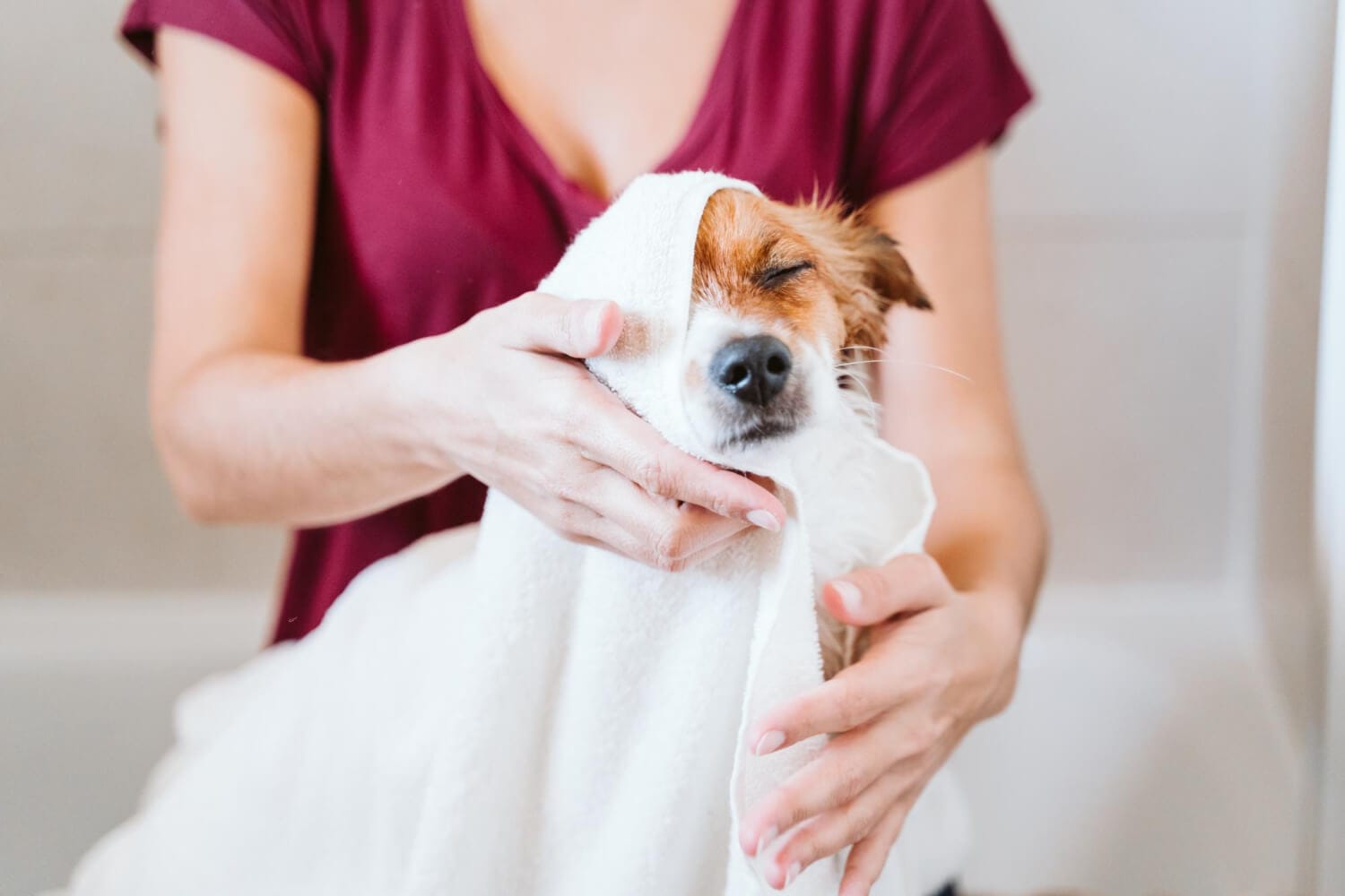 Shampoos Medicinais Em Pets