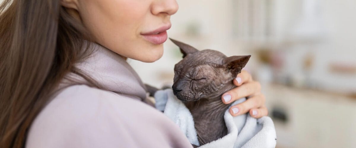 Exames Dermatite Fúngica Em Cães E Gatos