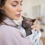Exames Dermatite Fúngica Em Cães E Gatos