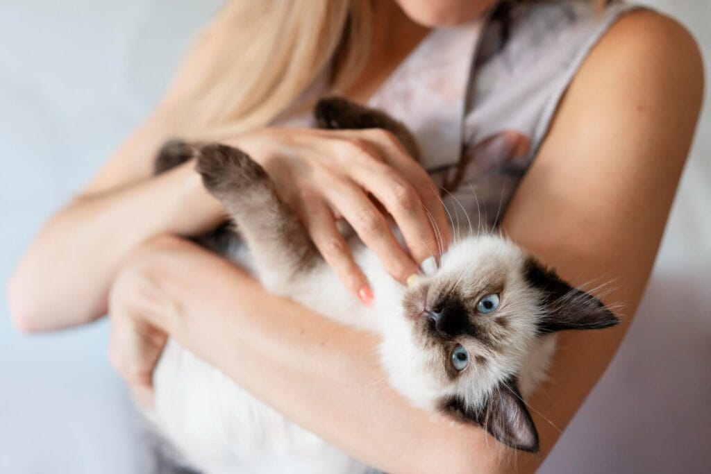 Dermatite Fúngica Em Cães E Gatos: Como Identificar, Tratar E Prevenir 3 Dermatite Fúngica Em Cães E Gatos