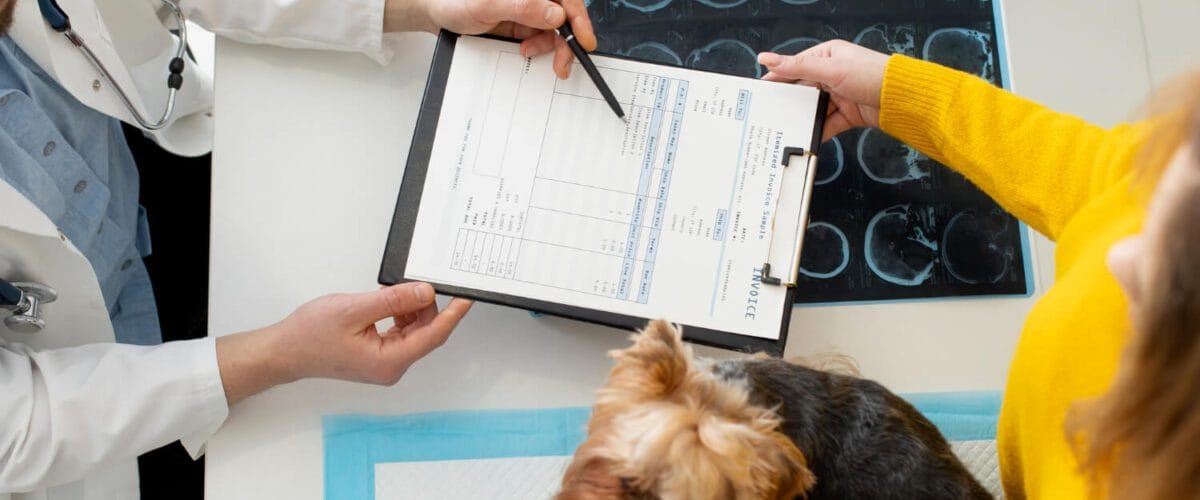 Genética E Saúde Da Pele: Como A Hereditariedade Afeta Doenças Dermatológicas Em Cães E Gatos 1 Genética Dermatite