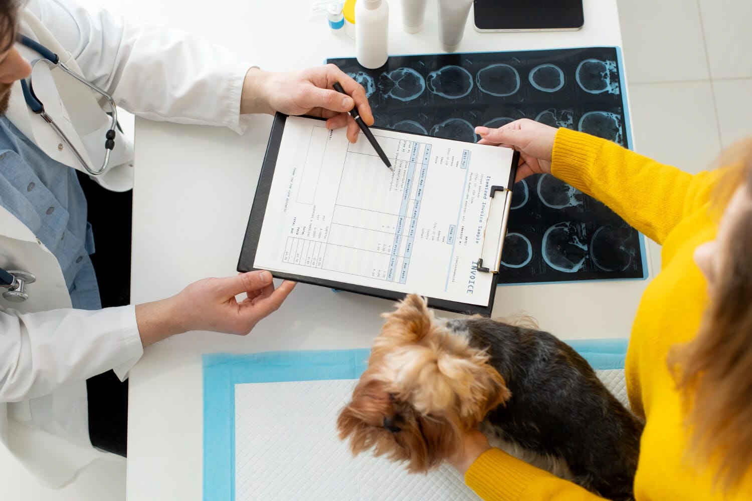 Genética E Saúde Da Pele: Como A Hereditariedade Afeta Doenças Dermatológicas Em Cães E Gatos 1 Genética Dermatite