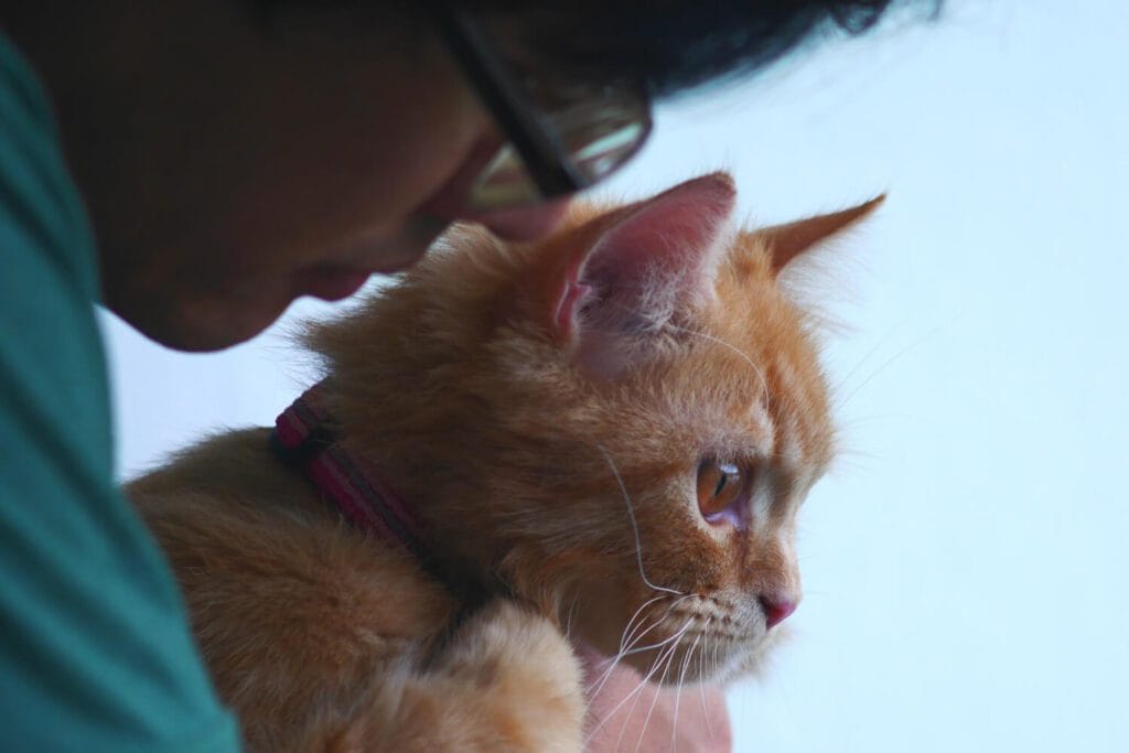 Genética E Saúde Da Pele: Como A Hereditariedade Afeta Doenças Dermatológicas Em Cães E Gatos 4 Genética