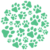 Petderma Unidade Tatuapé 5 Petderma: Especialistas Em Dermatologia Veterinária Em São Paulo - Encontre O Melhor Cuidado Para Seu Pet Com A Petderma, Sua Clínica Especializada Em Dermatologia Veterinária Em Sp. Tratamentos Inovadores Para Cães E Gatos.
