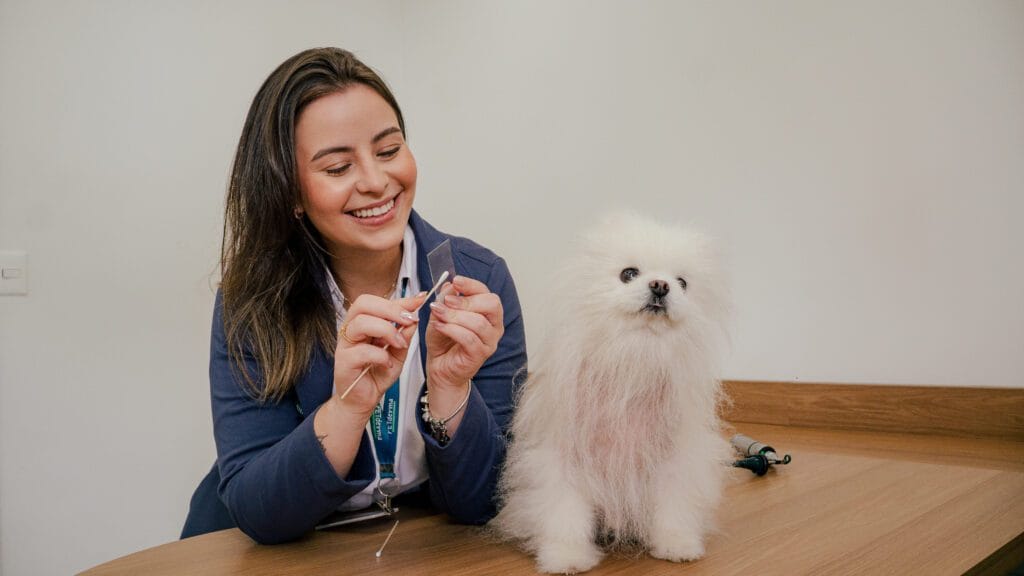 Vitamina E para Pets: Como Esse Nutriente Acelera a Recuperação da Pele